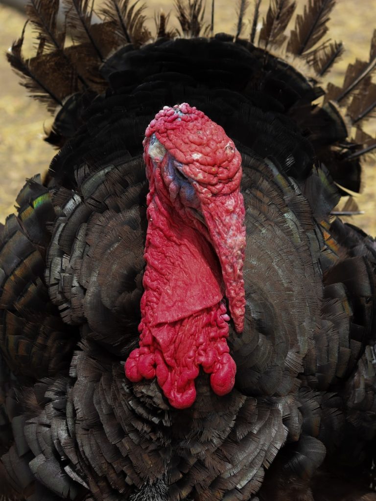 quitting drinking cold turkey 